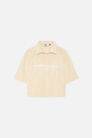 Camisas Scuffers Not LA Yet Striped Amarillos | 96402WGZL