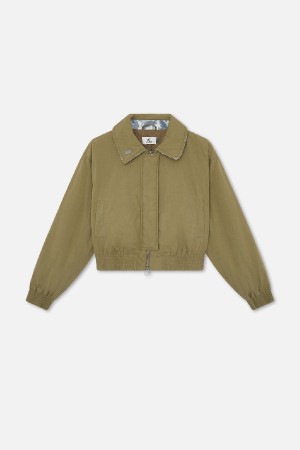 Chamarra Scuffers Harrington Verdes | 93160QBTR