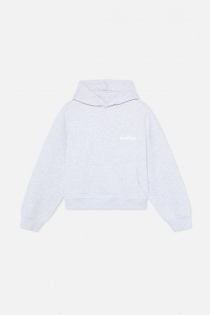Hoodies Scuffers Belty Hoodie Grises | 03845GTWX