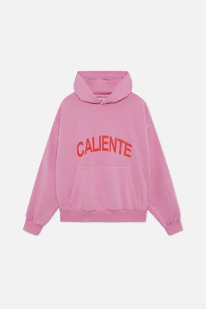 Hoodies Scuffers Hot Rosas | 18395CXJG