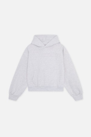 Hoodies Scuffers Internet Grises Claro | 25640NKJD