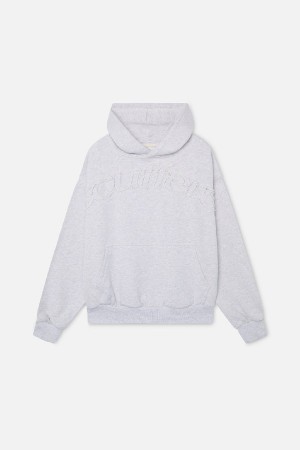 Hoodies Scuffers RAW Grises Claro | 93574QHTK