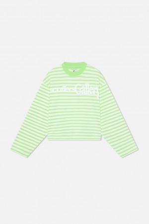 Longsleeve Scuffers Curator Longsleeve Verdes Blancos | 13697NXHR