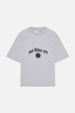 T-Shirts Scuffers NIY T-Shirt Grises Claro | 31428DKGH
