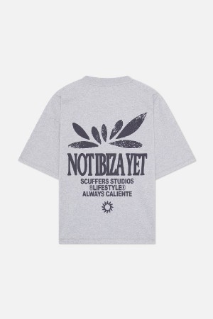T-Shirts Scuffers Not Ibiza T-shirt Grises Claro | 90465HXLP