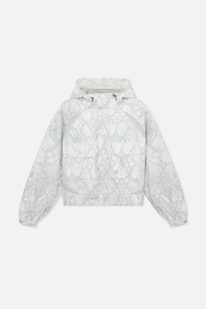 Windbreakers Scuffers Windbreaker Serpent Grises Claro | 01875CGVX