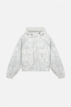 Windbreakers Scuffers Windbreaker Serpent Grises Claro | 65194ECRN