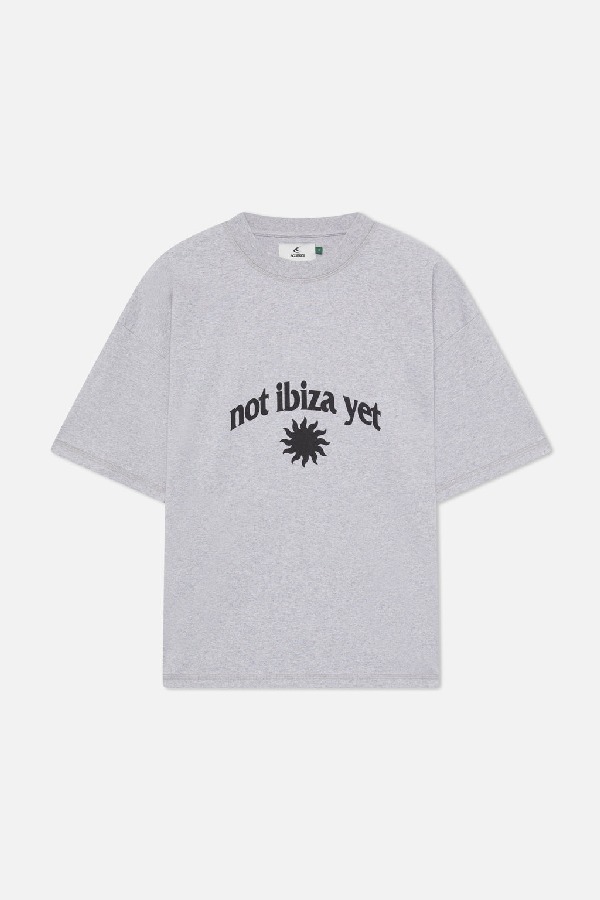 T-Shirts Scuffers NIY T-Shirt Grises Claro | 31428DKGH