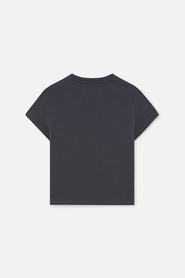 T-Shirts Scuffers Souvenir Top Grises Oscuro | 41638XION
